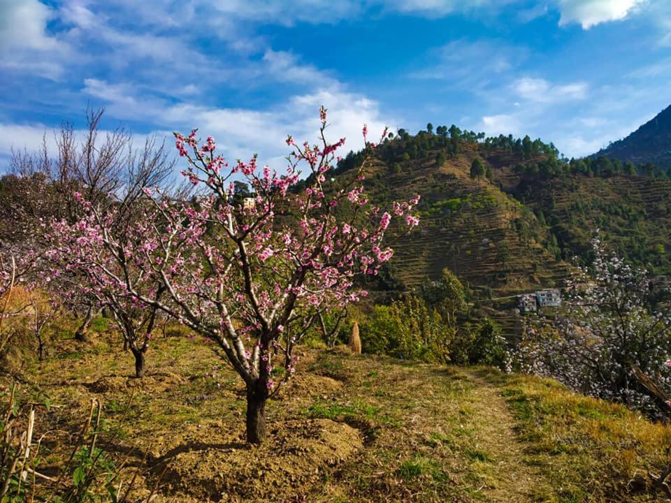 Seclude Ramgarh Cliff'S Edge Bed & Breakfast Exterior photo